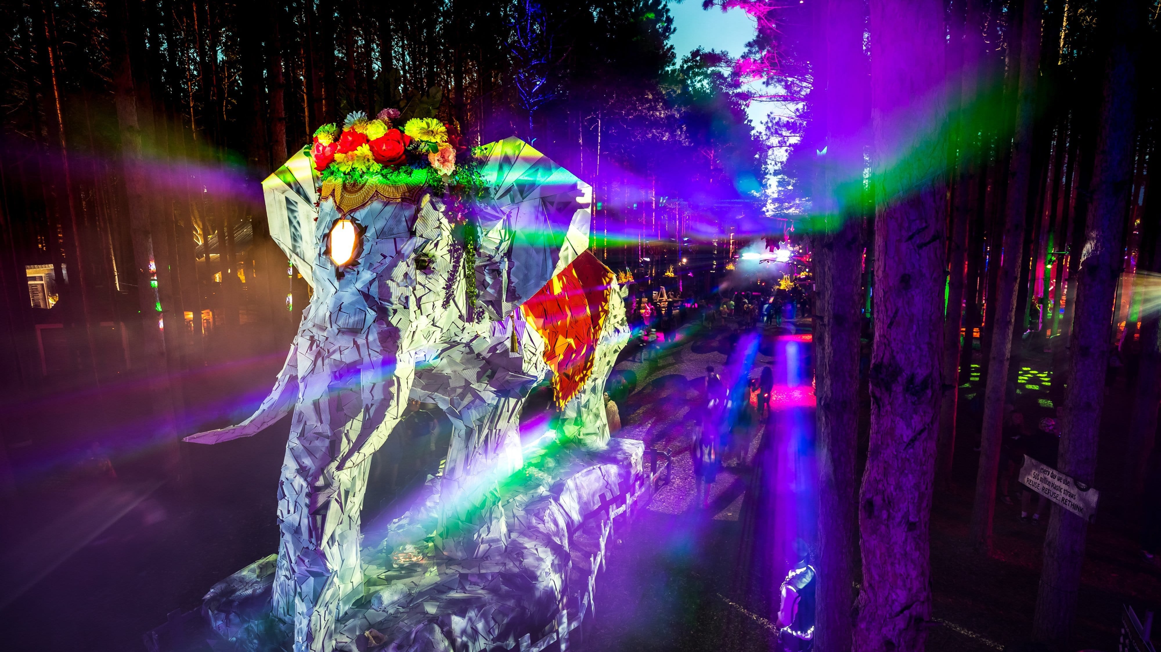 6 Tips for a Magical Electric Forest Experience