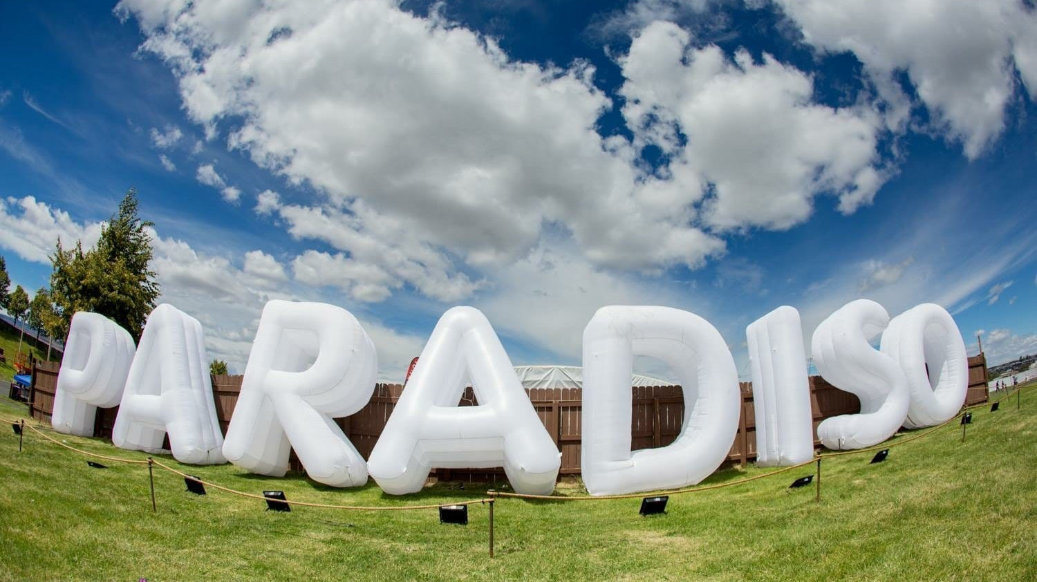 Paradiso 2019: A Beginner’s Guide