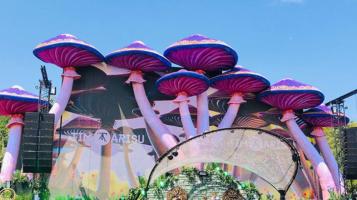 QUIZ: What Bucket List Festival Should You Attend in 2021?