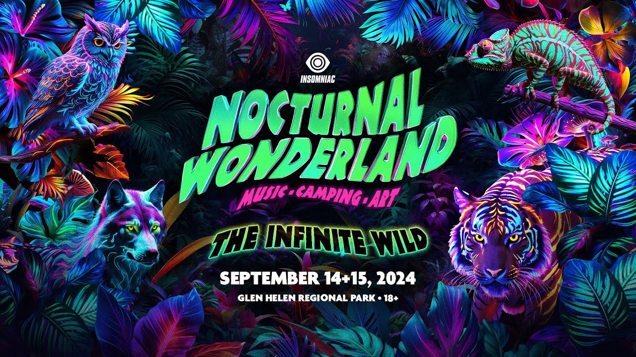 Everything You Need For Nocturnal Wonderland