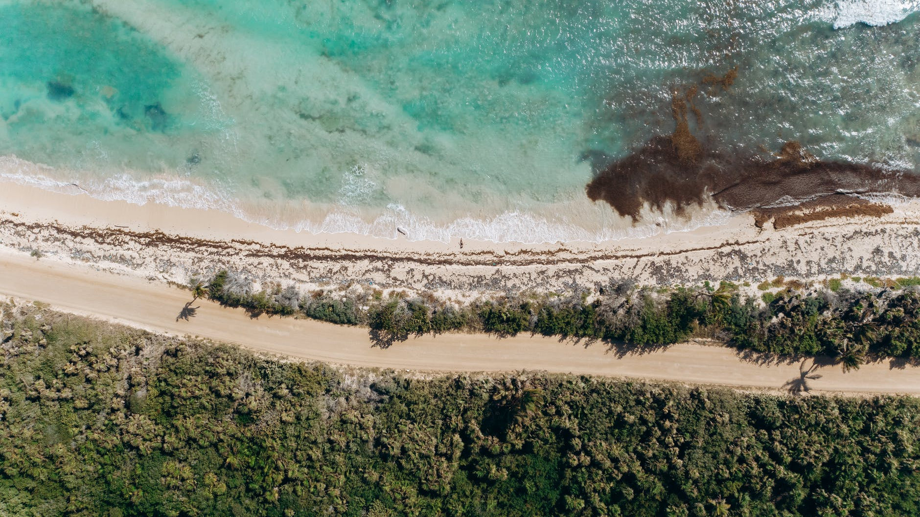 Tropical Festivals to Escape to This Winter