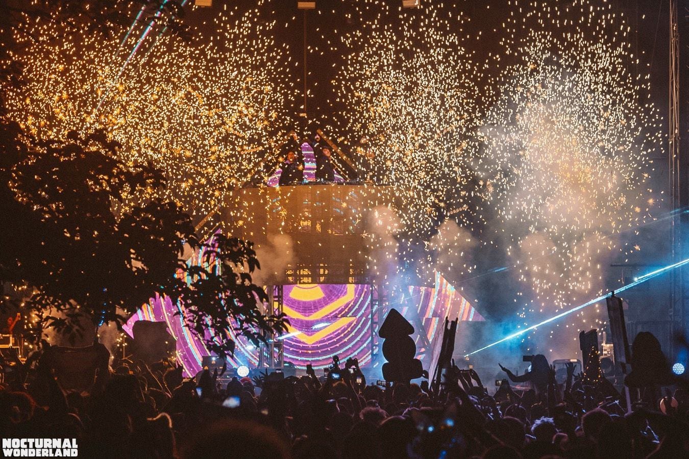 Nocturnal Wonderland Fireworks at Night