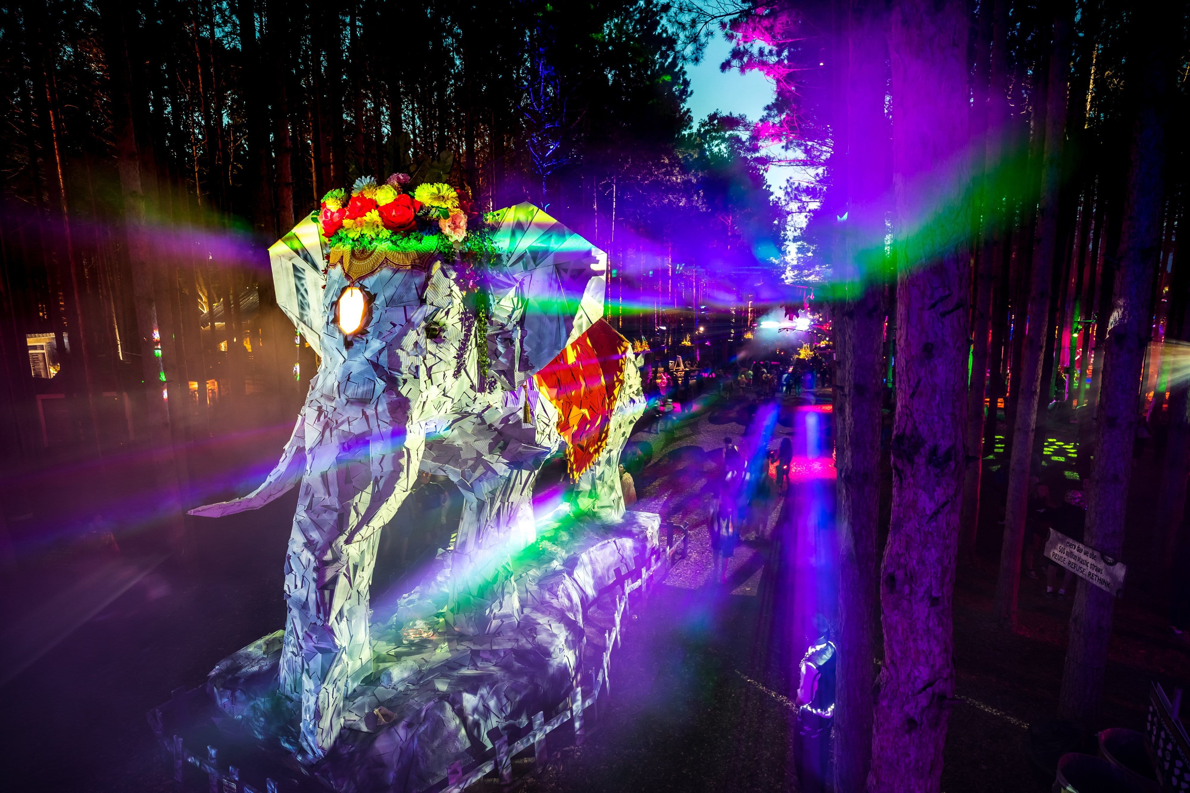 6 Tips for a Magical Electric Forest Experience