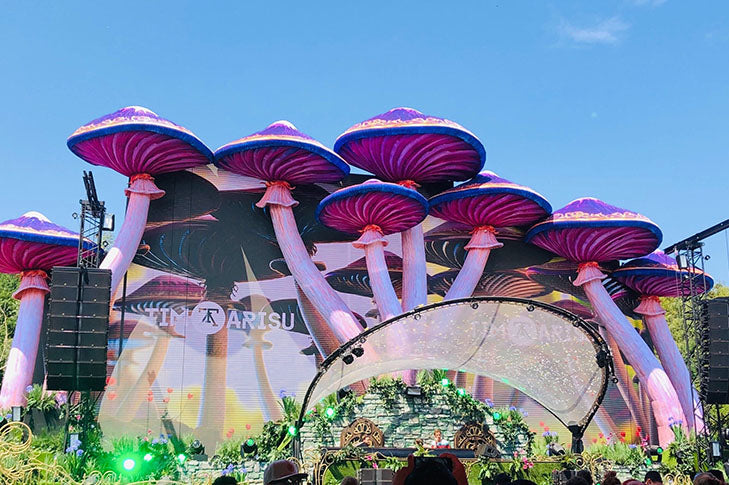 QUIZ: What Bucket List Festival Should You Attend in 2021?