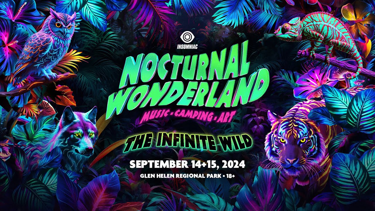 Everything You Need For Nocturnal Wonderland