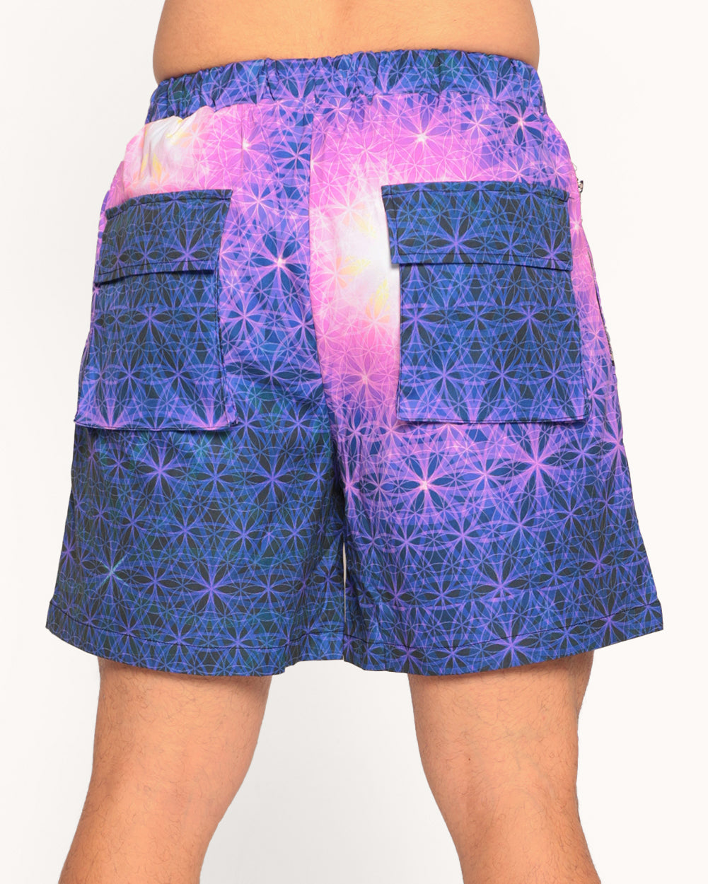 Quantum Synergy Men's Shorts-Blue/Pink/Purple-Regular-Back--Eric2---L